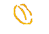 Buch & Autorin